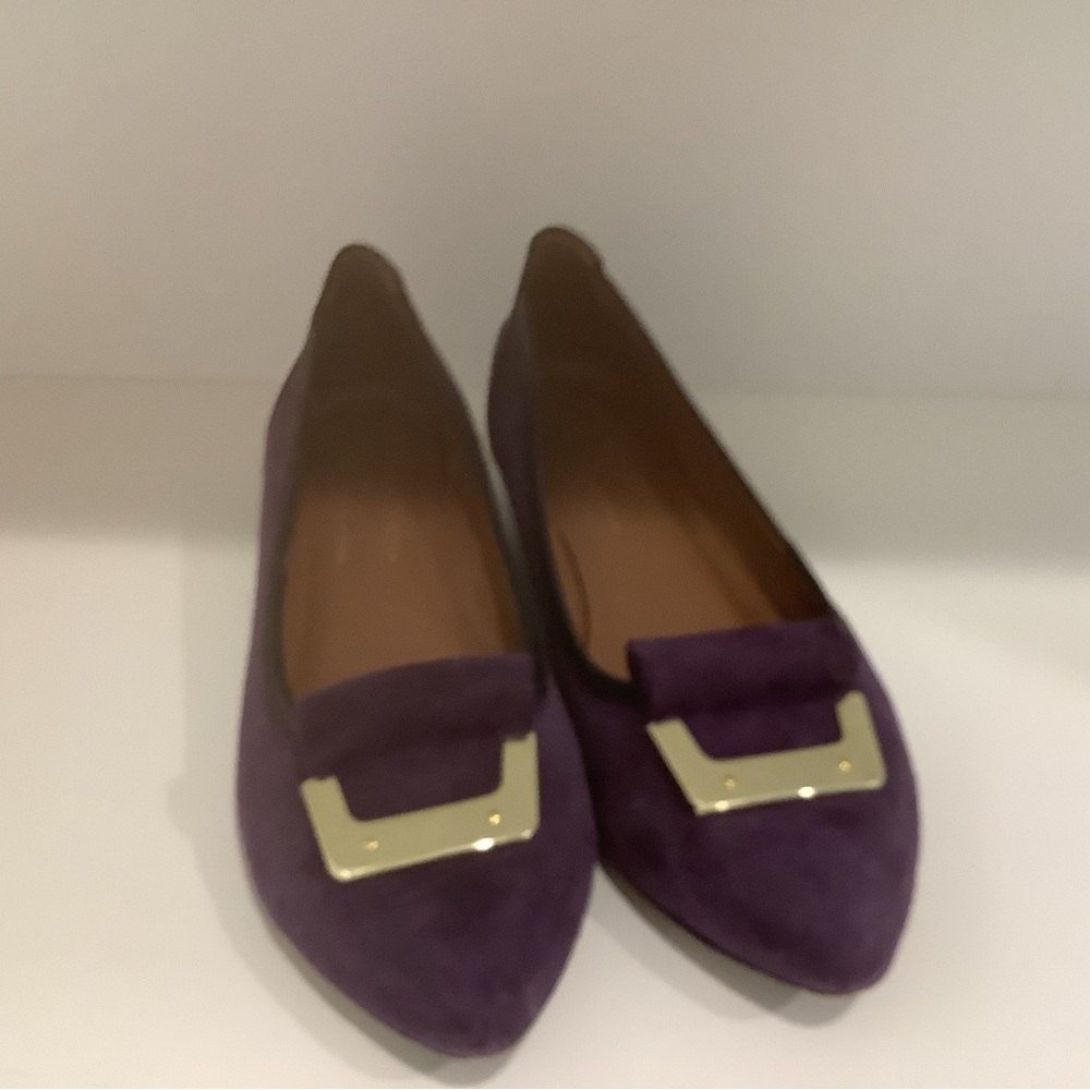 Donald J. Pliner Purple and Gold Elegant Flats
